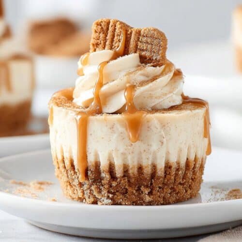 Mini Biscoff Cheesecakes recipe card