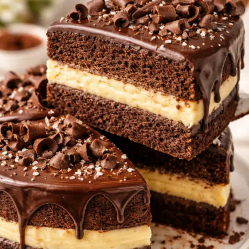 Chocolate Custard Cake featured image