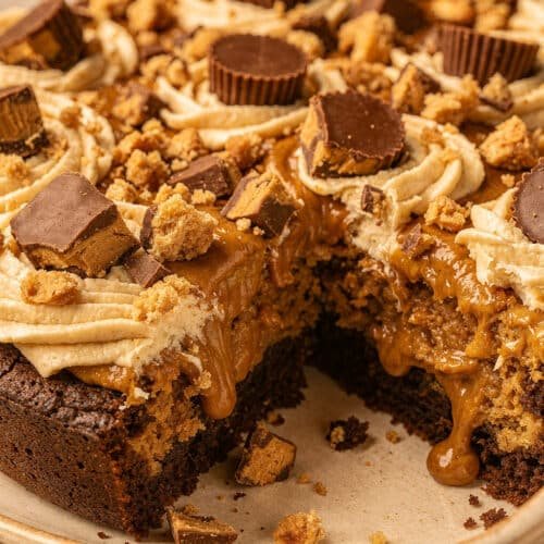 Irresistibly Gooey Reese's Peanut Butter Earthquake Cake recipe card image